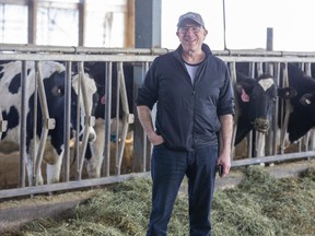 Tommy Faulkner at London Dairy Farms in London. (Derek Ruttan/The London Free Press)