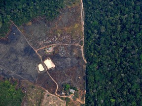 (FILES) File photo taken on August 23, 2019 of an aerial view of a deforested piece of land in the Amazon rainforest near an area affected by fires, about 65 km from Porto Velho, in the state of Rondonia, in northern Brazil. - Human intervention in native areas can cause ecological imbalance and export diseases from the heart of the forest. With the Amazon's devastation, the next pandemic could come from Brazil, said Brazilian investigator David Lapola in an interview with AFP released on May 13, 2020. (Photo by Carl DE SOUZA / AFP)
