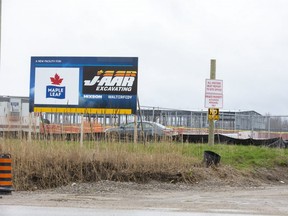 Maple Leaf Foods has resumed work on its poultry processing plant on Wilton Grove Road. (Derek Ruttan/The London Free Press)