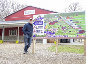 Steve Kustermans is the owner of Kustermans Berry Farms in Mt. Brydges Ont. Derek Ruttan/The London Free Press