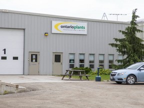 Eight migrant workers employed by Ontario Plants Propagation Limited in St. Thomas, Ont. have tested positive for COVID-19. (Derek Ruttan/The London Free Press)