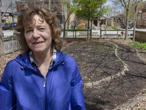 Jacqueline Thompson, executive director of LifeSpin stands in their community garden space behind their Dundas Street location, after it was announced that community gardens would be allowed to open in Ontario.
(Mike Hensen/The London Free Press)