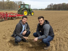 WeedMD's director of cultivation Curtis Wallace and Taylor Carr, manager of cultivation, check the soil in their 11-hectare field near Strathroy being cultivated Tuesday, May 5, 2020 for a second  planting of marijuana.(Mike Hensen/The London Free Press)