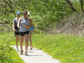 Samantha Danos leads the way through Kilworth Provincial Park in Monday's heat with friends Nicole Fox and Talya Filion, completing an eight-kilometre loop through the park west of London. (MIKE HENSEN, The London Free Press)