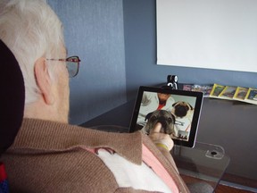 St. Joseph's Health Care has seen a silver lining during  the pandemic - they've been able to keep up with outpatient visits online. Patients in a variety of areas, from psychiatric services to cardiac care, have been able to connect with their clinicians. Here, a senior has a virtual visit with a St. John's Ambulance therapy dog. (Supplied photo)