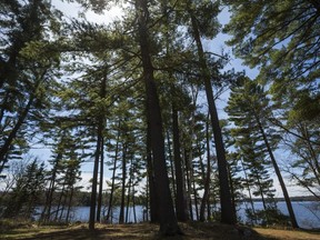 Just remember, there are sunny days ahead: This photo shows Lake Muskoka, just outside the town of Bracebridge, earlier this week. (Ernest Doroszuk/Toronto Sun/Postmedia)