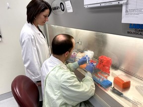 Shannon Schofield, left, the senior medical laboratory technologist leading the London's COVID-19 test validations and Joe Mascarin perform coronavirus testing at the Pathology and Laboratory Medicine lab, a joint venture by London Health Sciences Centre and St. Joseph's Health Care London. (Contributed/London Health Sciences Centre)