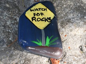 Creatively painted stones are rocking the Georgian Trail this summer. (BARBARA TAYLOR/The London Free Press)
