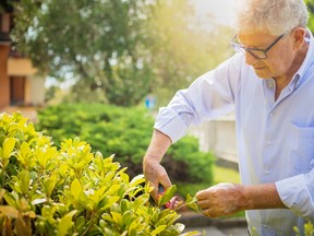 Gardening is good for the body, good for the soul — and can even provide healty eating.