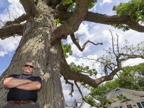 James McAllister, who's shared his Lambeth property with this massive bur oak for nearly 20 years, says it will be sad to see the old tree go next month, but it's time in light of  decay and safety concerns. He thinks a carving, made from the trunk or other parts of the tree, would be a nice way to remember it. (Mike Hensen/The London Free Press)