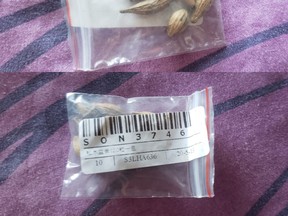 These unidentified seeds were in an unordered package received by a Thorndale resident last week. (Submitted)