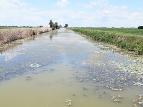 A seven-year-old girl from Chatham died Monday night when the pickup truck in which she was a passenger veered off Jacob Road, on the left, and landed upside-down in this ditch. (Mark Malone, Postmedia Network)