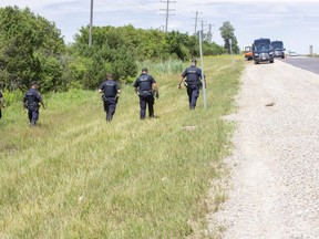 OPP officers search the west side of Centre Road just south of HWY 402 in Strathroy, Ontario on Tuesday July 21, 2020. They were searching the area near the spot that human remains were discovered this morning. (Derek Ruttan/The London Free Press)