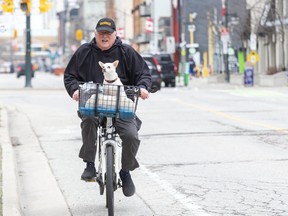 Mike Wakulicz and his best friend "George" enjoy bike ride along Dundas Street in London, Ont. on Friday May 1, 2020. "She loves it," said Wakulicz. "As soon as she sees the bike she knows she's going on an excursion." (Derek Ruttan/The London Free Press)