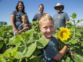 Lambton County farmer Brian Schoonjans, right,  has planted a field of sunflowers to raise funds for cancer charities in memory of Forest tot Max Rombouts, 2, who lost his fight with leukemia last June. Joining Schoonjans are Max's parents, Jamie and Kevin, and their sons  Hudson, 5, and Zachary, 7, who shows off a burgeoning bloom. (Derek Ruttan/The London Free Press)