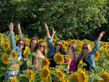 From left, Jaimie Lewis, Brooke, Stormi, Ashley, Grace Franchetto and Kayla Martin are surrounded by sunflowers in Bayfield during a Wave Limo trip.