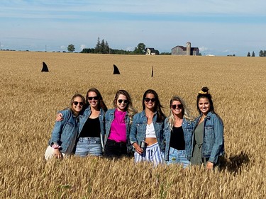 From left: Stormi, Ashley, Grace Franchetto, Jaimie Lewis, Kayla Martin, Brooke pose in a Zurich wheat field.
