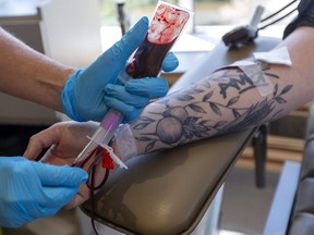 Tanner Wituik's blood is put into sample tubes at the Canadian Blood Services donor centre in London on Tuesday. The number of new donors jumped 20 per cent over last year during the early stretch of the pandemic. (Mike Hensen/The London Free Press)