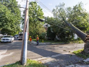 A maple tree was knocked down on Becher Street, hitting a house, during a severe thunderstorm Thursday afternoon in London. (Mike Hensen/The London Free Press)