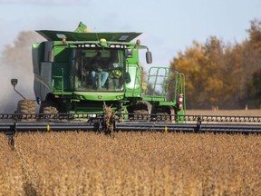 Ron Smith of Killins Custom Work out of Dorchester combines soybeans near Thorndale in this 2019 file photo.  (Mike Hensen/The London Free Press)