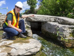 Karen Winfield of the Upper Thames River Conservation Authority shows the exit of what is believed to be one of Ontario’s oldest fish ladders, likely built in 1908 in St. Marys. Winfield said the ladder was probably made at the same time as the grist mill dam behind her as part of government legislation to preserve fish stocks, which were being hurt by fishing in the Great Lakes as well as the damming of waterways by mills that were springing up at the end of the 19th century. The fish ladder was not noticed until now when the river was diverted from the old dam to allow restoration work to take place. (Mike Hensen/The London Free Press)