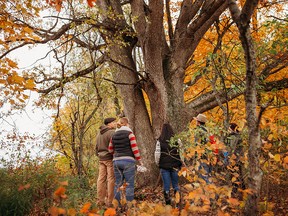 Oxford County is home to an array of bubble friendly activities, including a unique Tree to Table woodcraft experience.