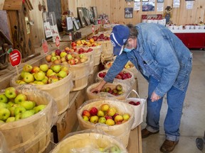 Joe Matthews buys McIntosh apples from Thomas Bros. Farm Market in London, Ont. on Tuesday October 6, 2020. (Derek Ruttan/The London Free Press)
