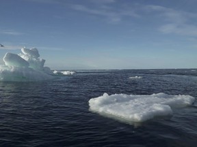Floating ice is seen during the expedition of the The Greenpeace's Arctic Sunrise ship at the Arctic Ocean, (File photo)