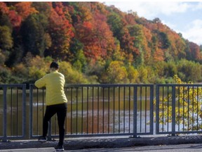 Ruth Rowe of Ailsa Craig enjoys the fall colours in Springbank Park in London, Ont. (Mike Hensen/The London Free Press)