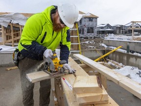 Adam McCallum of Aaron Dyck construction cuts up a 2 by 6 to make reinforcement pieces for the house they are framing at the northeast corner of Kilally Road and Highbury Avenue in London.  (Mike Hensen/The London Free Press)