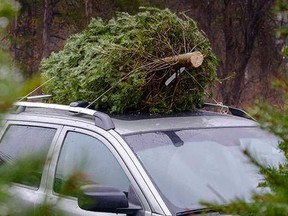 Oxford County OPP report a crash between a driver and a Christmas tree after the roof rack slid off a car into oncoming traffic. (OPP)