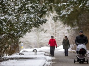 Matthew Robertson pushes his 8-month-old son Theodore for a walk through Springbank Park on Monday January 18, 2021.  Behind him Lisa Cianci walks her pooch Zoe, with Mallory Chute. (Mike Hensen/The London Free Press)