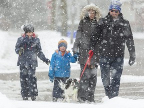 William Hollis, 8, and his brother, Tommy, 4 cheered Thursday, Jan. 28, when they heard from their parents, Kyle and Lauren Hollis, that they could go back to school Monday. The clan was enjoying a family walk Thursday, Jan. 28. (Mike Hensen/The London Free Press)