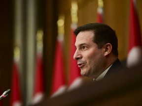Minister of Immigration, Refugees and Citizenship Marco Mendicino holds a press conference in Ottawa, Thursday, Nov. 12, 2020. (THE CANADIAN PRESS/Sean Kilpatrick)