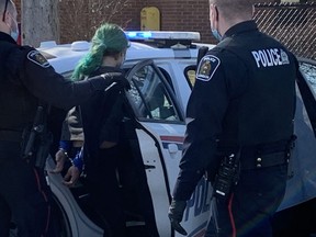 London police led a woman away in handcuffs following a weapons investigation at a public housing building at 241 Simcoe St. Wednesday morning. Dale Carruthers / The London Free Press