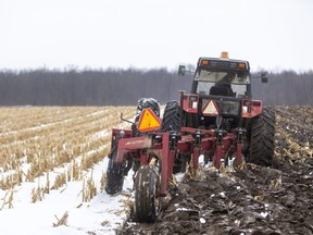 Mike Orosz plows a field north of London. A new study by a Western University researcher says a drier atmosphere brought on by climate change could reduce crop yields. Danielle Way, an associate professor of biology, said climate change poses a particular risk to northern countries like Canada. (Mike Hensen/The London Free Press)