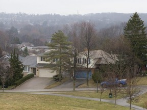 Homes are dotted among the trees in Byron, in this Free Press file photo. The city is offering financial help to residents with old trees.