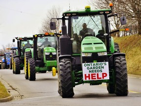 An estimated 250 farmers joined a tractor convoy through Simcoe to a Norfolk County Fair grounds protest of COVID-19 restrictions farmers say are hobbling their operations. (Monte Sonnenberg, Postmedia Network)