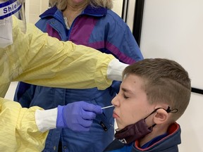 Alexander Ainscow-Gillespie gets swabbed during voluntary asymptomatic COVID-19 testing at Aylmer's East Elgin secondary school on Wednesday, March 10. He and his mom waited 90 minutes in line for his test. (Heather Rivers/The London Free Press)