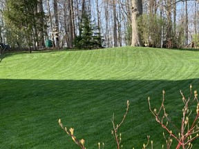 The best time to fertilize your lawn is early June but go ahead and cut it now.  Denise Hodgins says.
(BARBARA TAYLOR/The London Free Press)