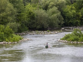 A man canoes on the Thames River through downtown London's Harris Park in this August 2019 photo. (Derek Ruttan/The London Free Press)