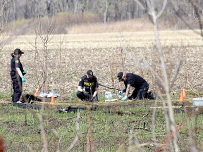 Members of the Ontario Provincial Police forensic identification unit investigate in a clearing in a wooded area on  Walpole Island First Nation Tuesday April 13, 2021, north of where human remains were found in a marshy area on March 17. Ellwood Shreve/Chatham Daily News