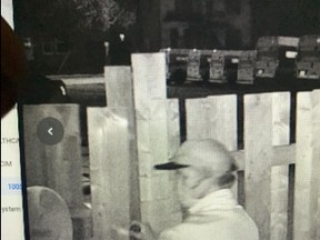 St. Thomas police are asking for the public's help identifying a suspect after Bonsai trees were stolen for the second time in recent weeks. St. Thomas police handout.