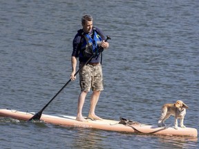 Rosie enjoys a paddle boat ride at Sharon Creek Conservation Area in Delaware, courtesy of her best friend Dale Sanderson. It’s Rosie’s second ride on the board. “She took right to it,” said Sanderson. (DEREK RUTTAN, The London Free Press)