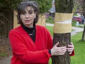 Jutta Abernethy of Byron, a self avowed "tree hugger," hopes that the gypsy moth infestation on her street is helped by the cities plan to spray in four nearby parks in London, Ont. (Mike Hensen/The London Free Press)
