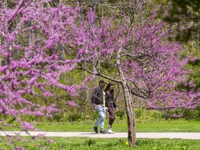Josh Flannery and Madelyn Bastiaansen, both of London, walk through Waterworks Park in St. Thomas on Wednesday. (Mike Hensen/The London Free Press)