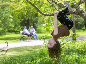 Danika Galick, 6, of London was just hanging out in Gibbons Park with her family on Tuesday. (Mike Hensen/The London Free Press)