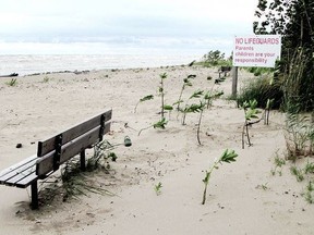 Rondeau Provincial Park is shown in this file photo.