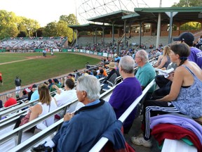 The crowd waits the first pitch of a playoff game between the London Majors and the Kitchener Panthers on Aug. 15, 2017, at Labatt Park.  (Mike Hensen/The London Free Press)