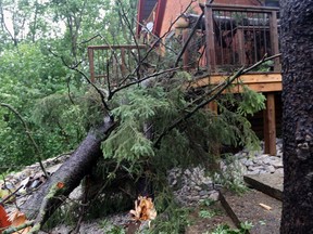 High winds and a possible tornado caused trees to snap in half and ripped off parts of homes in Walter's Falls Saturday night shortly after Environment Canada issued a tornado warning for the area, near Owen Sound. Greg Cowan/The Sun Times